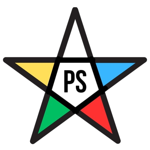 Pro Solution Logo